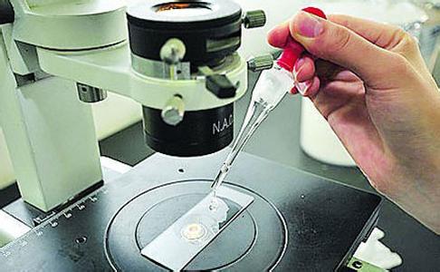 二維色譜、基因測序儀等儀器項目獲豫科技發(fā)展專項資金支持